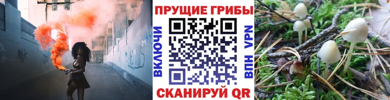 кракен зеркало  закладки  Чита  Псилоцибиновые грибы Magic Shrooms 