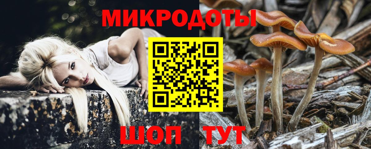 Псилоцибиновые грибы мицелий  Вход с VPN  купить  сайты  Чита  Псилоцибиновые грибы мухоморы 